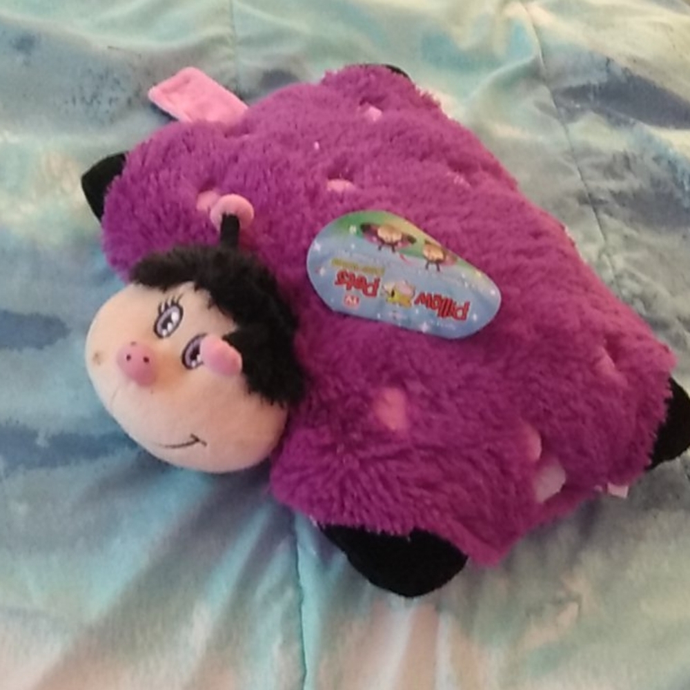 A cute pillow